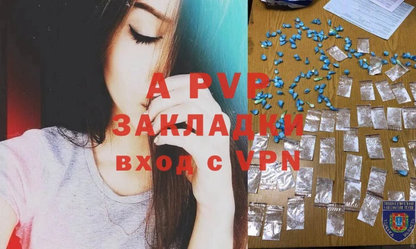 шишки Абаза