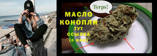 шишки Абаза