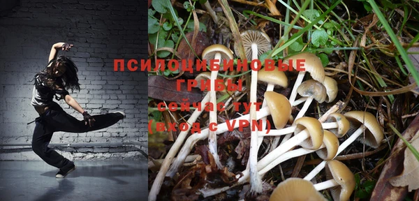 метамфетамин Алексеевка