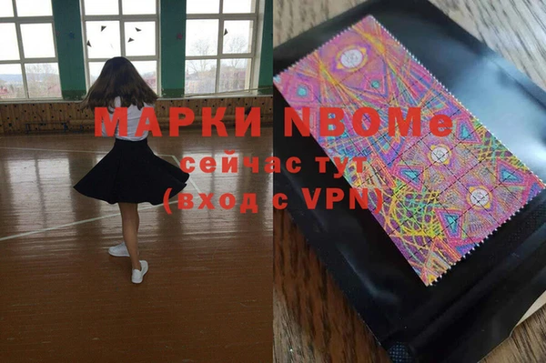 шишки Абаза