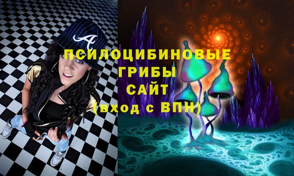кокс Алзамай