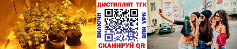 Дистиллят ТГК жижа где купить наркоту ОМГ ОМГ ссылка Зубцов