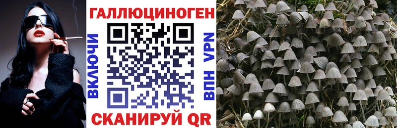 Псилоцибиновые грибы ЛСД  Зубцов 