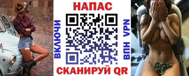 Конопля сатива Зубцов