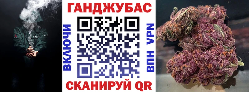 Марихуана сатива Зубцов